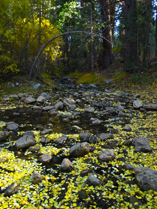 2009-10-23 04.00.28 PM IMG_9587