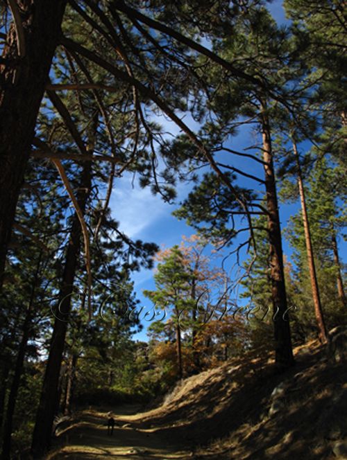 2009-10-23 04.10.45 PM IMG_9643