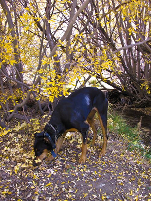 2009-10-23 02.16.25 PM IMG_9191