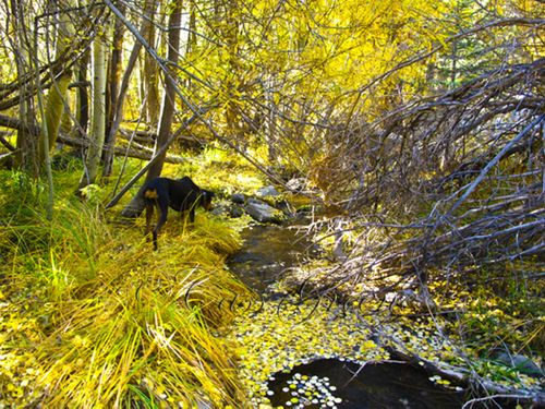 2009-10-23 03.21.09 PM IMG_9334