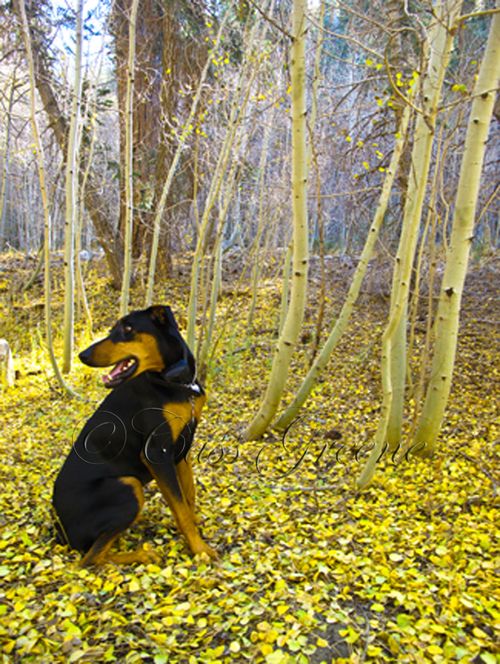 2009-10-23 03.25.16 PM IMG_9363