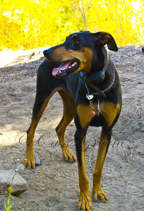 2009-10-23 03.40.22 PM IMG_9448