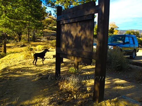 2009-10-23 04.13.30 PM IMG_9646