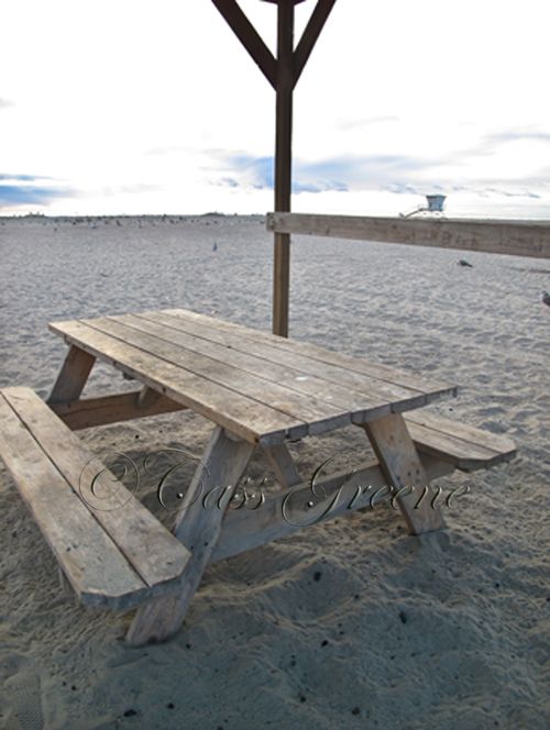 Picnic 2009-10-12 05.33.55 PM IMG_7698