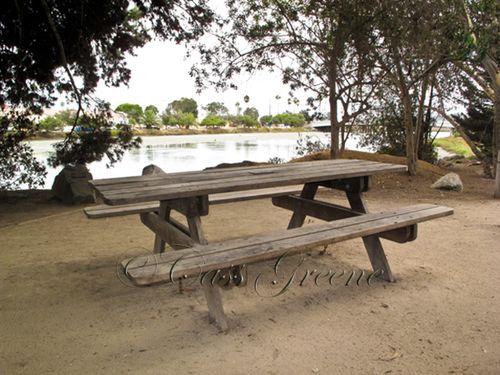 2009-10-13 11.41.10 AM IMG_8146