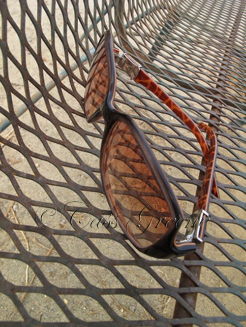 2009-10-13 11.19.56 AM IMG_8096