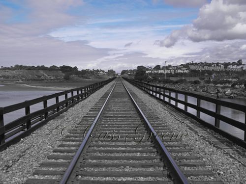 2009-10-13 11.11.30 AM IMG_8085