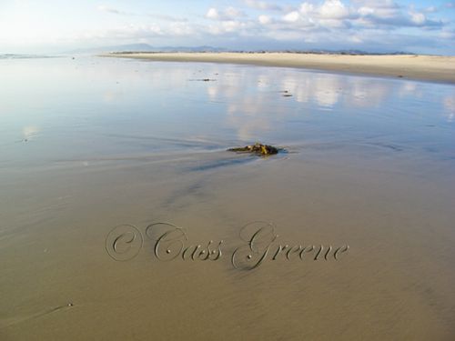 2009-10-06 05.16.25 PM IMG_6343