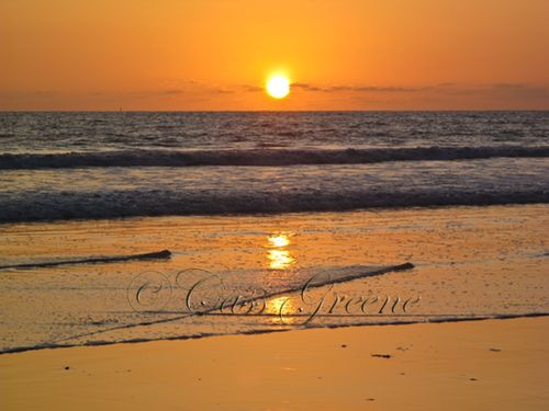 2009-10-06 06.20.40 PM IMG_6563