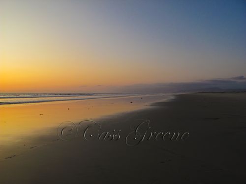 2009-10-06 06.19.02 PM IMG_6556