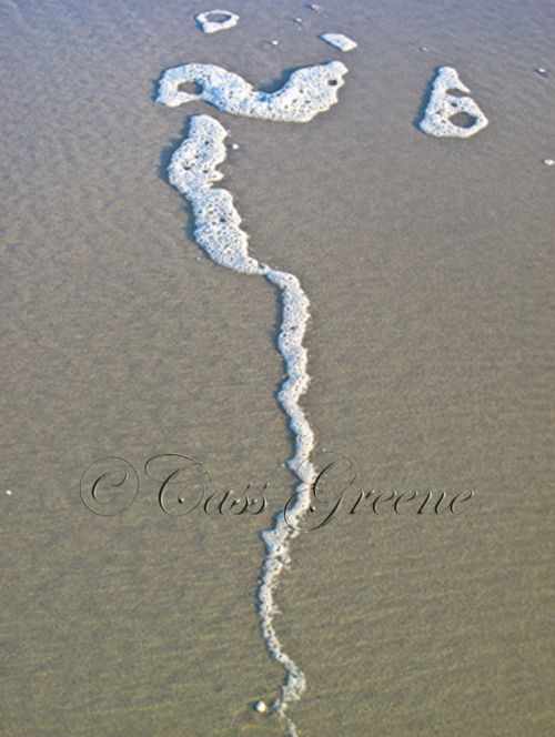 2009-10-06 05.40.01 PM IMG_6410