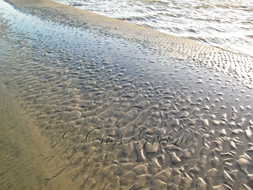 2009-10-06 05.42.33 PM IMG_6423