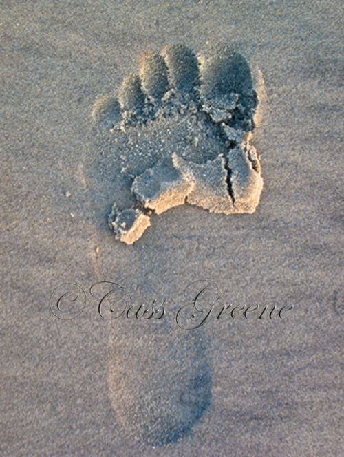 2009-10-06 06.14.32 PM IMG_6533