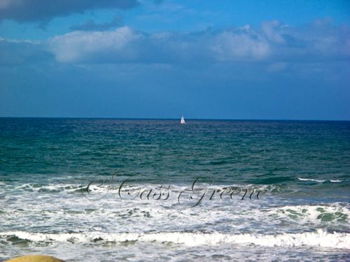 2009-10-04 08.26.50 AM IMG_6065