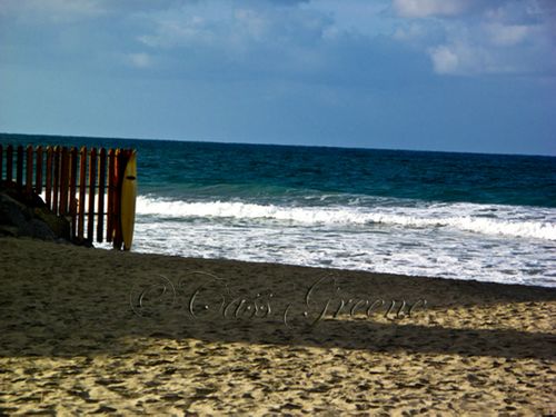 2009-10-04 08.32.19 AM IMG_6072