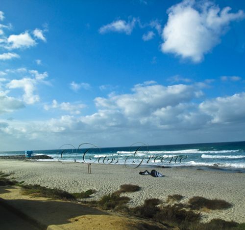 2009-10-04 08.55.12 AM IMG_6076