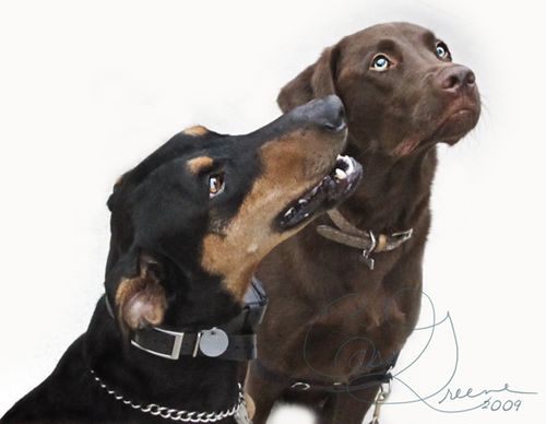 Best Friends 2009-11-08 06.48.48 AM IMG_1649