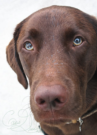 Mocha 2009-10-17 07.19.50 AM IMG_8459