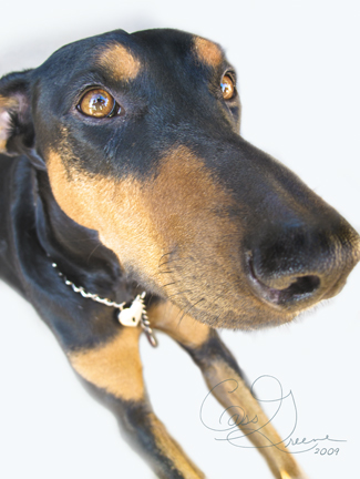 Quigley 2009-10-17 04.59.55 PM IMG_8715