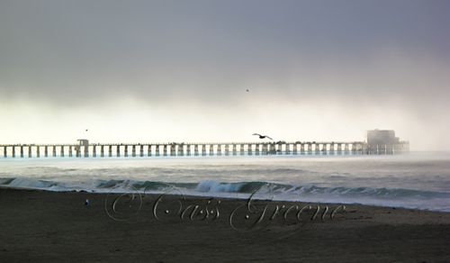 Fog 2009-11-03 08.04.46 AM IMG_1466