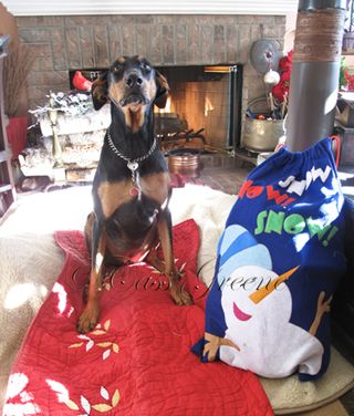 2009-12-25 10.06.38 AM IMG_6376