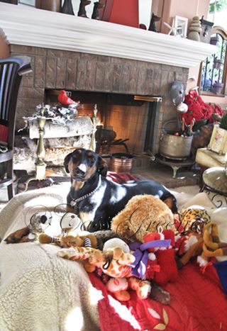 2009-12-25 10.09.46 AM IMG_6395