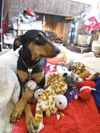 Quigley 2009-12-25 10.34.51 AM IMG_6411