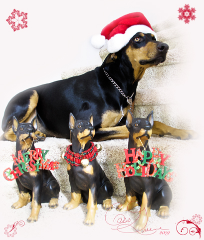 Quigley Gang 2009-12-25 12.20.06 PM IMG_6431