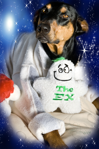 Quigley 2009-12-24 11.25.07 AM _CAS7008