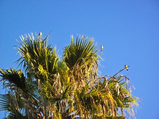 2010-01-03 07.27.49 AM IMG_7792