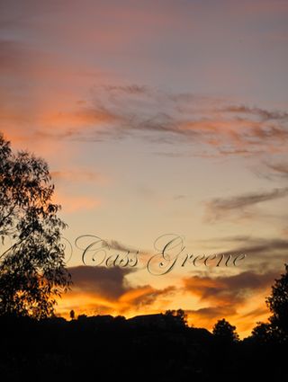 2010-01-04 05.00.45 PM IMG_7922