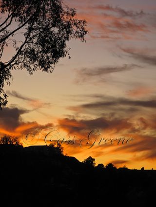 2010-01-04 05.01.55 PM IMG_7927