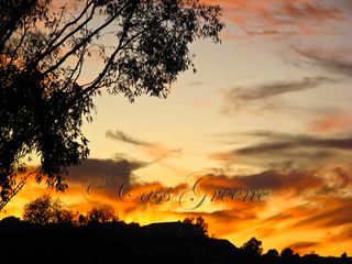 2010-01-04 05.02.11 PM IMG_7929