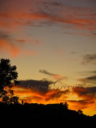 2010-01-04 05.03.21 PM IMG_7937