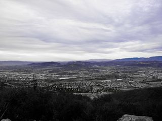 2010-01-01 03.59.23 PM IMG_7551