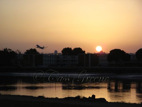 2010-04-03 06.42.01 AM IMG_3142