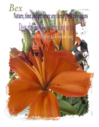 Bex 2010-05-09 03.52.44 PM IMG_7853_1