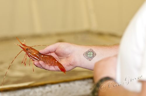 2010.08.25 09 47 28 AM _CAS1258