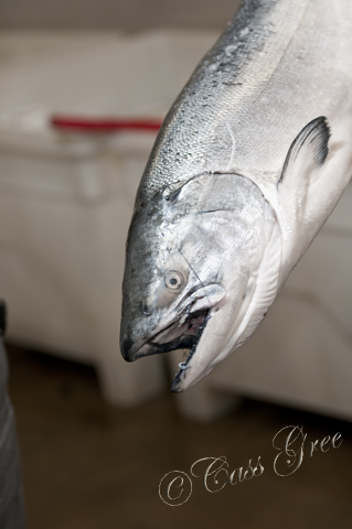 2010.08.25 10 05 55 AM _CAS1322