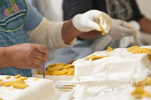 2010.08.25 10 11 51 AM _CAS1363