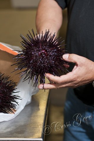 2010.08.25 10 13 21 AM _CAS1369