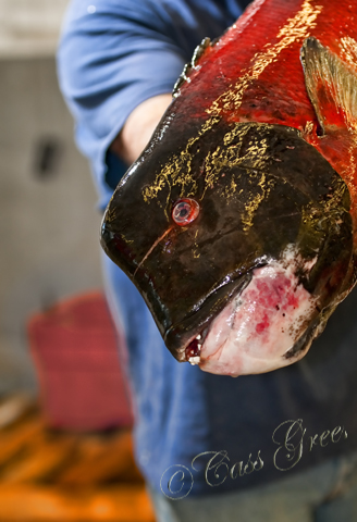 2010.08.25 10 08 25 AM _CAS1340_1