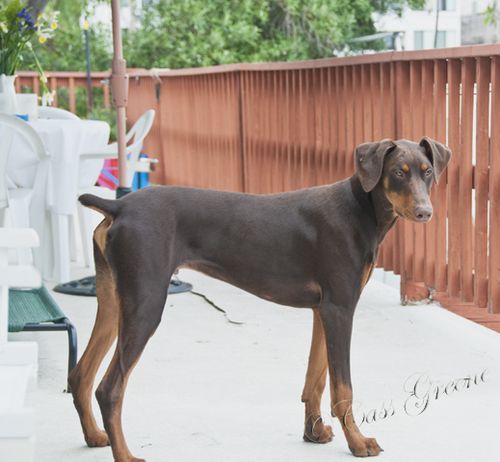 2010.08.02 04 57 33 PM _CAS8148