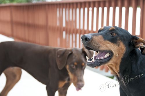 2010.08.02 04 57 13 PM _CAS8145