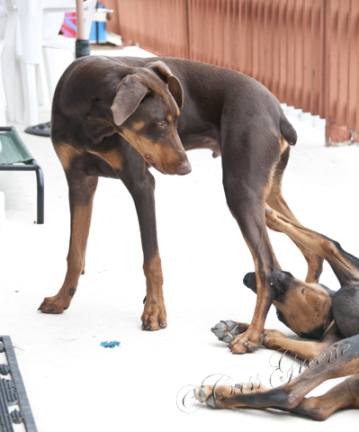 2010.08.02 04 56 49 PM _CAS8141