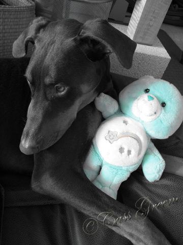 2010.09.13 11 58 08 AM IMG_3604