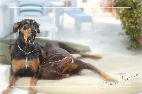 FunA 2010.09.13 07 58 27 AM _CAS4563