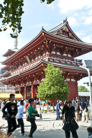 2010_10_23 01.26.12 PM _CAS2038