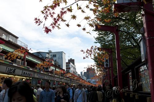 2010_10_23 02.08.32 PM _CAS2236