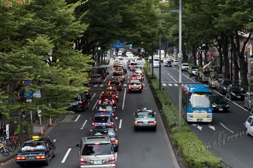 2010_10_22 04.54.42 PM _CAS1125